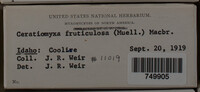 Image Associated With the Occurence